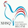 103.3 Radio San Miguel (San Miguel