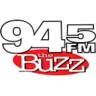 94.5 The Buzz Houston's Rock