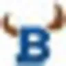 98.1 The Bull