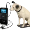 Angel Radio