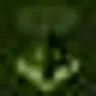 Audioasyl