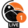Big Radio 4 Domaćica