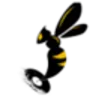 Black Hornet Radio