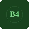 Boomerang 40's