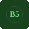 Boomerang 50's