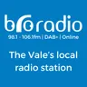 Bro Radio
