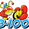 B-100