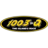 100.3 The Q