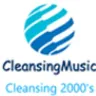 CleansingMusic - Cleansing 2000's
