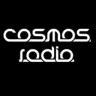 Cosmos 93