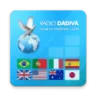 Dadiva Net