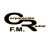 Dinámica FM