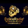 DzikieRadio