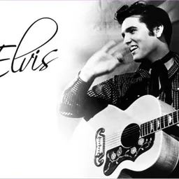 Elvis And Company