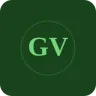 Gipsy Voice - Folk