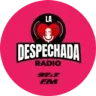 LA DESPECHADA STÉREO