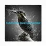 NATURE RADIO SLEEP