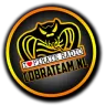 Cobra Team