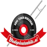 Oude Piraten Hits