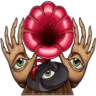 Psyndora Chillout