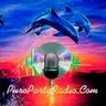 Puro Party Radio