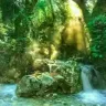 Radio Art - Nature