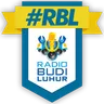 Radio Budi Luhur