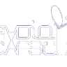 Radio Capsule