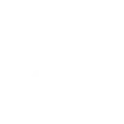 RADIO FLAMES