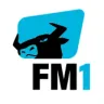 RADIO FM1