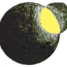 Radio Orbital