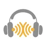 Radio Paradise Mellow Mix FLAC+meta