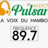 Radio Pulsar Katiola