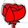 Radio Rosa