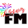 Radio Salyut