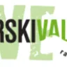 Radio Štajerski val