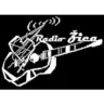 Radio Zica