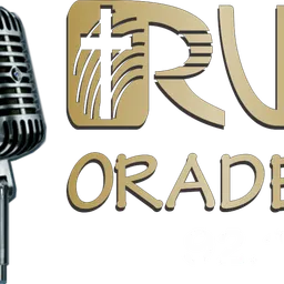 RVE Satu Mare