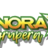 Sonora Grupera 91.7 Ciudad Obregón