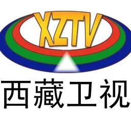 西藏卫视伴音