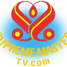 Supreme Master Television