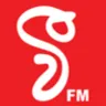 V FM