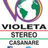Violeta Stereo