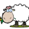 Wandering Sheep Radio