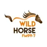 Wild Horse