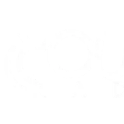 Young Radio